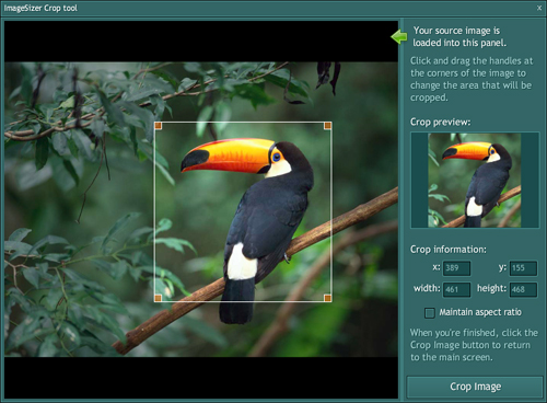ImageSizer Crop tool